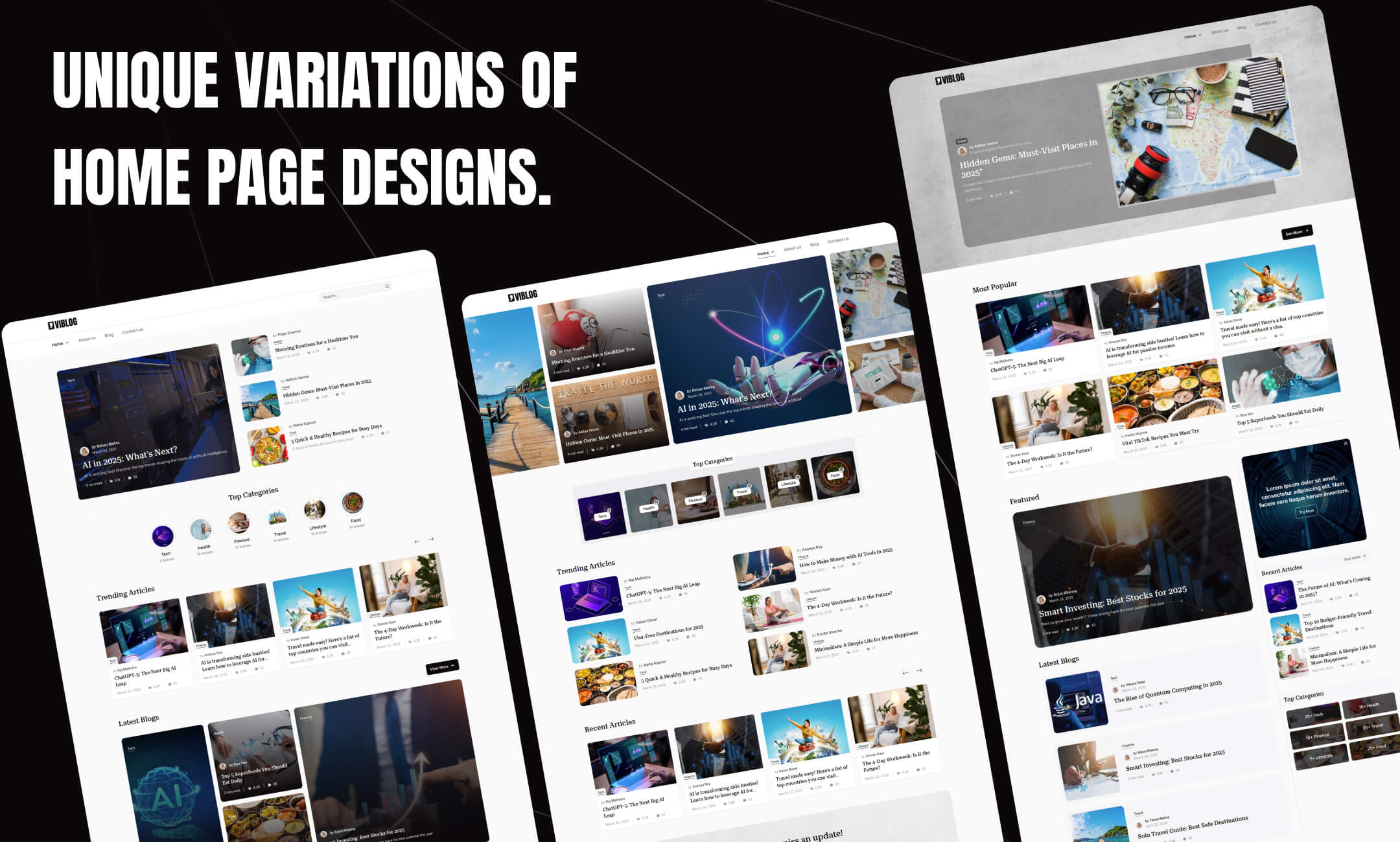 Viblog website template slide 3